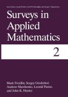 Surveys in Applied Mathematics di Mark I. Freidlin, Sergey Gredeskul, John K. Hunter, Andrew Marchenko, Leonid Pastur edito da Springer US