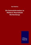 Die Steinsalzformation im Mittleren Muschelkalk Württembergs di Karl Endriss edito da TP Verone Publishing