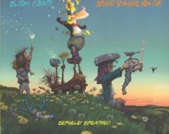 Bloom County: Brand Spanking New Day