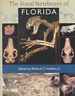 The Fossil Vertebrates of Florida di Richard C. Hulbert edito da UNIV PR OF FLORIDA