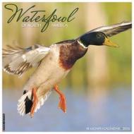 Waterfowl Calendar edito da Willow Creek Press