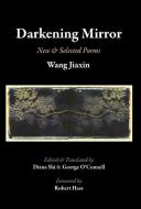 Darkening Mirror di Wang Jiaxin edito da TEBOT BACH