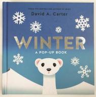 Winter di David A. Carter edito da Abrams & Chronicle Books