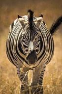 Zebra Notebook: 150 Lined Pages, Softcover, 6 X 9 di Wild Pages Press edito da Createspace Independent Publishing Platform