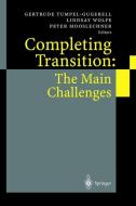 Completing Transition: The Main Challenges di G. Tumpel-Gugerell, L. Wolfe, P. Mooslechner edito da Springer Berlin Heidelberg