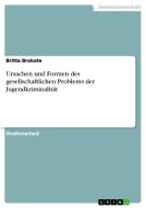 Ursachen und Formen des gesellschaftlichen Problems der Jugendkriminalität di Britta Brokate edito da GRIN Verlag