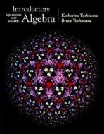 Introductory Algebra: Equations and Graphs [With CD-ROM and Infotrac College Edition] di Katherine Yoshiwara, Bruce Yoshiwara edito da Thomson Brooks/Cole