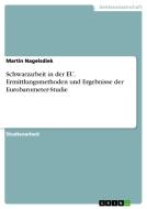 Schwarzarbeit In Der Eu. Ermittlungsmethoden Und Ergebnisse Der Eurobarometer-studie di Martin Nagelsdiek edito da Grin Publishing