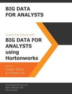 Big Data for Analysts di Yevgen Bilous, Ernesto Lee edito da ConsultantsNetwork