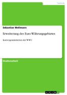 Erweiterung des Euro-Währungsgebietes di Sebastian Wellmann edito da GRIN Publishing