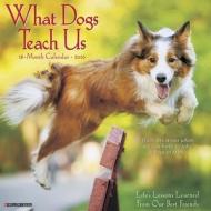 What Dogs Teach Us Calendar edito da Willow Creek Press