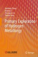 Primary Exploration of Hydrogen Metallurgy di Jianliang Zhang, Kejiang Li, Zhengjian Liu edito da SPRINGER NATURE