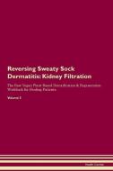 Reversing Sweaty Sock Dermatitis: Kidney Filtration The Raw Vegan Plant-Based Detoxification & Regeneration Workbook for di Health Central edito da LIGHTNING SOURCE INC