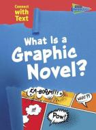 What Is a Graphic Novel? di Charlotte Guillain edito da RAINTREE