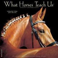 What Horses Teach Us Calendar edito da Willow Creek Press