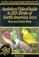 Audubon Video Guide to 258 Birds of North America 2: Song & Garden edito da Mastervision