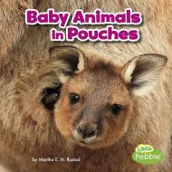 Baby Animals in Pouches di Martha Elizabeth Hillman Rustad edito da CAPSTONE PR