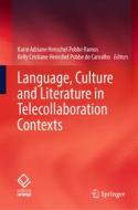 Language, Culture and Literature in Telecollaboration Contexts edito da Springer International Publishing