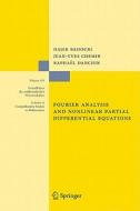 Fourier Analysis and Nonlinear Partial Differential Equations di Hajer Bahouri, Jean-Yves Chemin, Raphaël Danchin edito da Springer-Verlag GmbH
