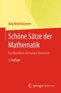 Schöne Sätze der Mathematik di Jörg Neunhäuserer edito da Springer-Verlag GmbH