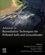 Advances in Remediation Techniques for Polluted Soils and Groundwater edito da ELSEVIER