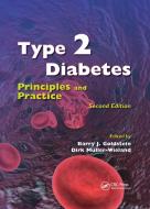 Type 2 Diabetes edito da Taylor & Francis Ltd
