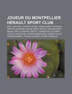 Joueur Du Montpellier H Rault Sport Club di Livres Groupe edito da Books LLC, Wiki Series