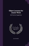Object Lessons For Junior Work di Ella N Wood edito da Palala Press