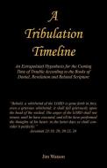 A Tribulation Timeline - An Extrapolated Hypothesis for the Coming Time of Trouble According to the Books of Daniel, Revelation and Related Scripture di Jim Watson edito da E BOOKTIME LLC