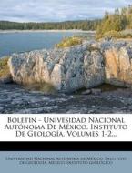 Boletin - Univesidad Nacional Autonoma De Mexico, Instituto De Geologia, Volumes 1-2... edito da Nabu Press