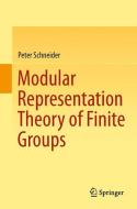 Modular Representation Theory of Finite Groups di Peter Schneider edito da Springer London