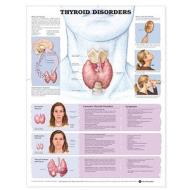 Thyroid Disorders Anatomical Chart di Anatomical Chart Company, Acc edito da Anatomical Chart Co.