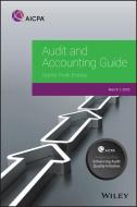 Audit and Accounting Guide: Not-For-Profit Entities 2020 di Aicpa edito da WILEY