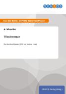 Windenergie di A. Schneider edito da GBI-Genios Verlag
