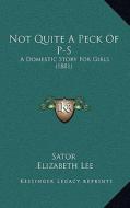 Not Quite a Peck of P-S: A Domestic Story for Girls (1881) di Sator, Elizabeth Lee edito da Kessinger Publishing