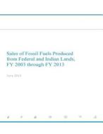 Sales of Fossil Fuels Produced from Federal and Indian Lands Fy 2003 Through Fy 2013 di U. S. Department of Energy edito da Createspace