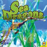 Sea Dragons [With Web Access] di Pamela McDowell edito da Av2 by Weigl