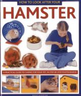 How to Look After Your Hamster di David Alderton edito da Anness Publishing