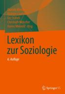 Lexikon zur Soziologie edito da Springer-Verlag GmbH