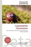 Calcatodrillia Chamaeleon edito da Betascript Publishing
