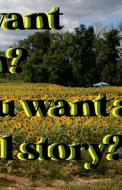 Do You Want the Truth or Do You Want a Beautiful Story di Kristofferson de edito da Lulu.com
