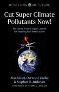 Cut Super Climate Pollutants Now!: The Ozone Treaty's Urgent Lessons for Speeding Up Climate Action di Alan Miller, Durwood Zaelke, Stephen O. Andersen edito da CHANGEMAKERS BOOKS