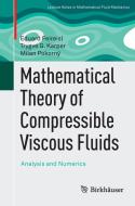 Mathematical Theory of Compressible Viscous Fluids di Eduard Feireisl, Trygve G. Karper, Milan Pokorný edito da Springer-Verlag GmbH