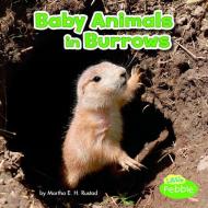 Baby Animals in Burrows di Martha Elizabeth Hillman Rustad edito da CAPSTONE PR