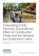 Forecasting Public Recovery Expenditures' Effect On Construction Prices And The Demand For Construction Labor di Aaron Strong, Jeffrey B Wenger, Isaac M Opper, Drew M Anderson, Kathryn a Edwards, Kyle Siler-Evans, Jessie Coe, R J Briggs edito da RAND Corporation