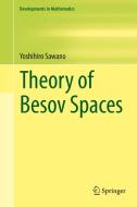 Theory of Besov Spaces di Yoshihiro Sawano edito da Springer-Verlag GmbH