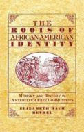 The Roots of African-American Identity di Na Na edito da Palgrave Macmillan US