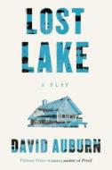 Lost Lake di David Auburn edito da Farrar, Strauss & Giroux-3PL