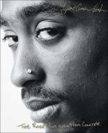 The Rose That Grew from Concrete di Tupac Shakur edito da Perfection Learning