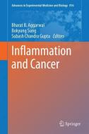 Inflammation and Cancer edito da Springer Basel AG